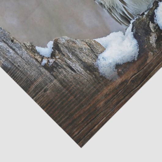 Papier Mousseline Hibou (Détail)