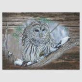 Papier Mousseline Hibou (Recto)