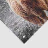 Papier Mousseline Highland Cow Scotland Russe (Détail)