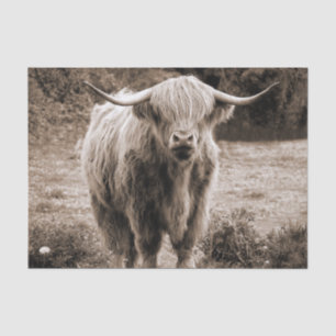 Papier Mousseline Highland Cow Scotland Russe Monotone Brown