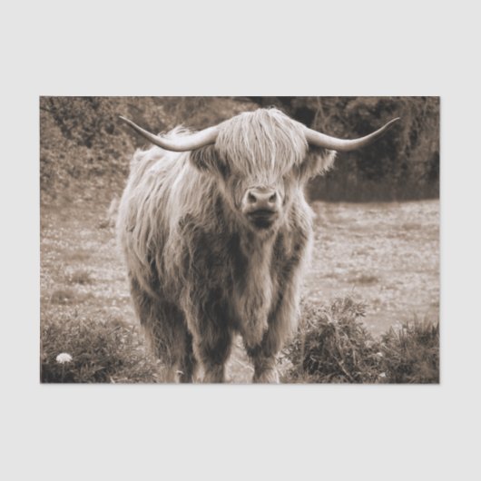Papier Mousseline Highland Cow Scotland Russe Monotone Brown (Recto)