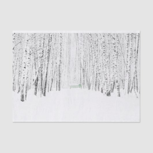 Papier Mousseline Histoire de Noël blanche (Recto)