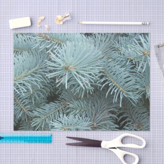 Papier Mousseline hiver gris d'épinette bleue (Artisanat)