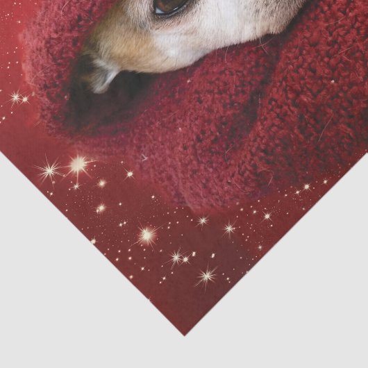 Papier Mousseline Holiday Chihuahua (Détail)