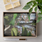 Papier Mousseline Holly Leaves (Cadeau)