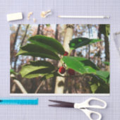 Papier Mousseline Holly Leaves (Artisanat)