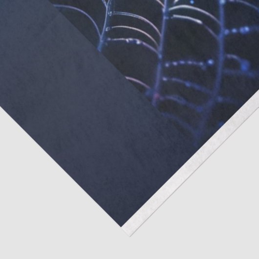 Papier Mousseline Holographique Araignée noire Halloween Découpage (Détail)