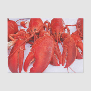 Papier Mousseline Homard rouge nautique océanique