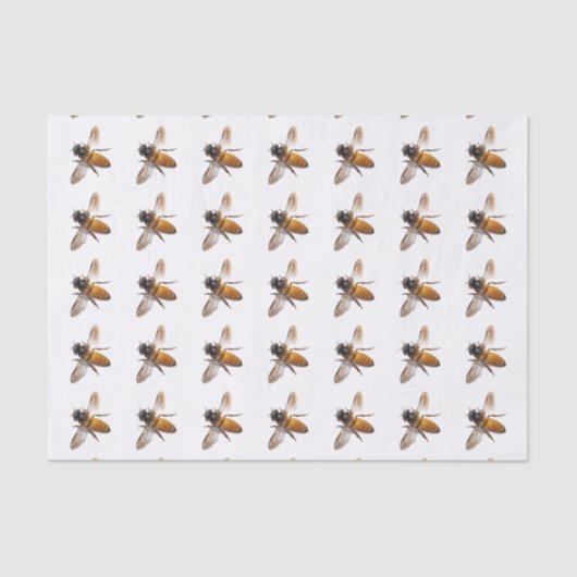 Papier Mousseline Honey Bee's (Recto)