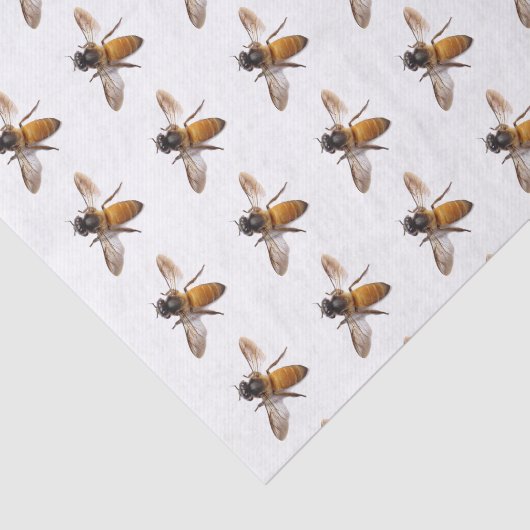 Papier Mousseline Honey Bee's (Détail)