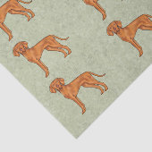 Papier Mousseline Hongrois Vizsla Cute Pointer Chien Motif Vert (Détail)