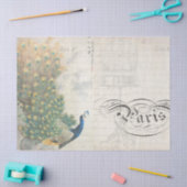 Papier Mousseline Horizontal de papier de Decoupage d'éphémères de (Artisanat)