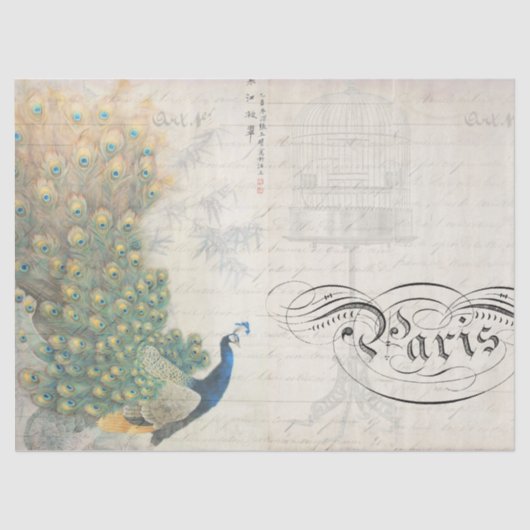 Papier Mousseline Horizontal de papier de Decoupage d'éphémères de (Recto)