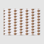 Papier Mousseline Horseshoe crab (Recto)