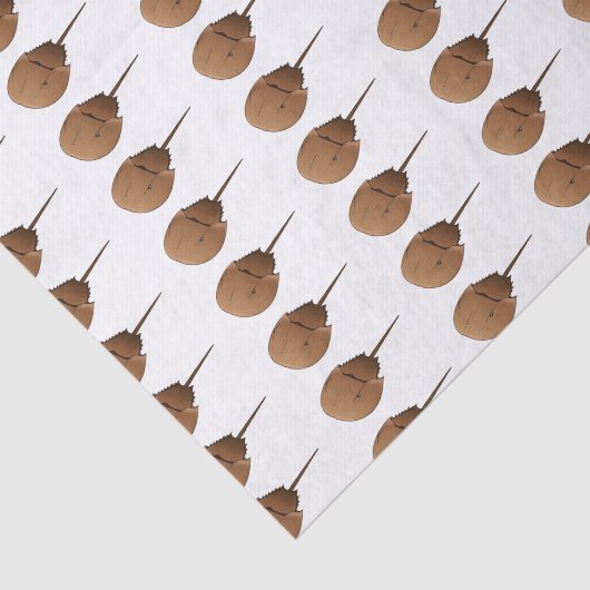 Papier Mousseline Horseshoe crab (Détail)