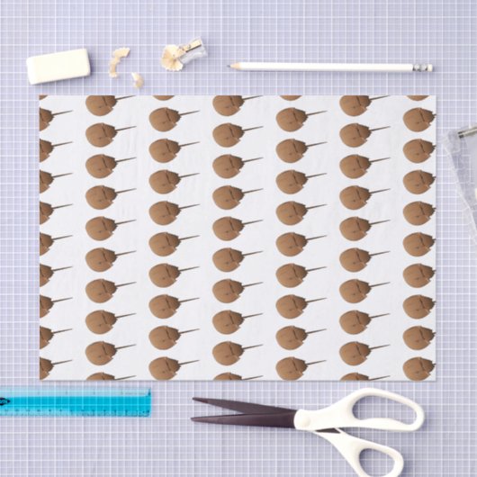Papier Mousseline Horseshoe crab (Artisanat)