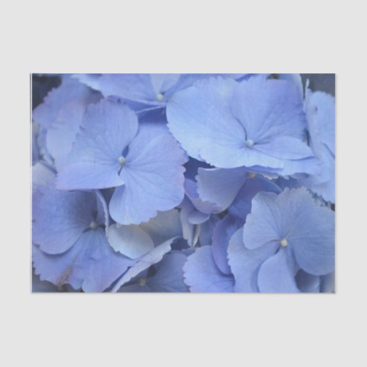 Papier Mousseline Hortensia assez bleu (Recto)