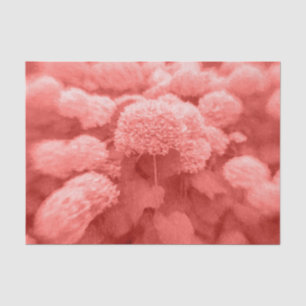 Papier Mousseline Hortensias Corail Blanc Floral Élégant Vintage