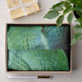 Papier Mousseline Hosta Heart (Cadeau)
