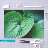 Papier Mousseline Hosta Heart (Artisanat)