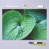 Papier Mousseline Hosta Heart (Artisanat)