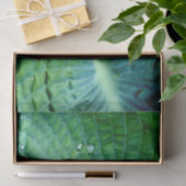 Papier Mousseline Hosta Heart (Cadeau)