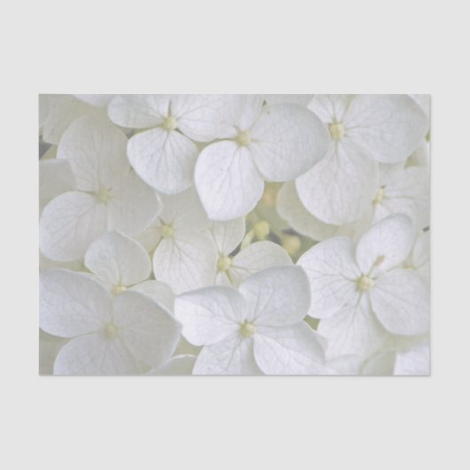 Papier Mousseline Hydrangea 6775 Papier Tissu (Recto)