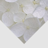 Papier Mousseline Hydrangea 6775 Papier Tissu (Détail)