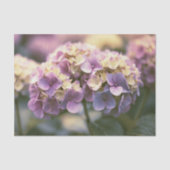 Papier Mousseline Hydrangea Découpe Ensoleillée Lavande Jaune (Recto)