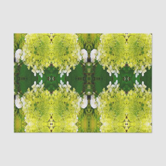 Papier Mousseline Hydrangea Limelight Vert Chartreuse Élégant (Recto)