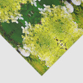 Papier Mousseline Hydrangea Limelight Vert Chartreuse Élégant (Détail)