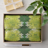 Papier Mousseline Hydrangea Limelight Vert Chartreuse Élégant (Cadeau)