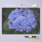 Papier Mousseline Hydrangea macrophylla violette rustique (Artisanat)