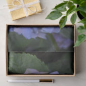 Papier Mousseline Hydrangea macrophylla violette rustique (Cadeau)