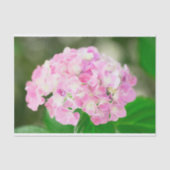 Papier Mousseline Hydrangea Rose En Été (Recto)