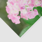 Papier Mousseline Hydrangea Rose En Été (Détail)