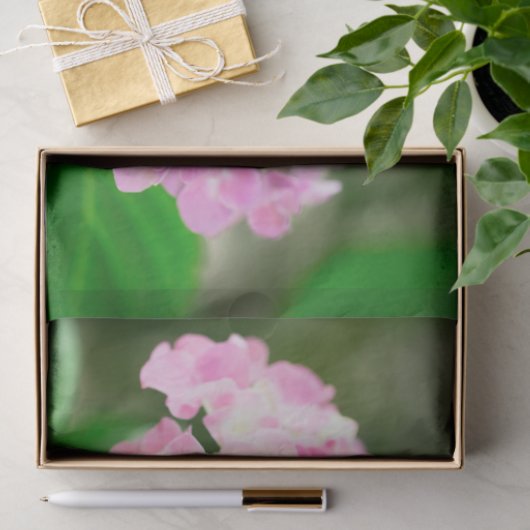 Papier Mousseline Hydrangea Rose En Été (Cadeau)