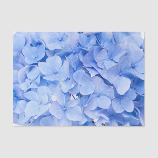 Papier Mousseline Hydrangée (Recto)