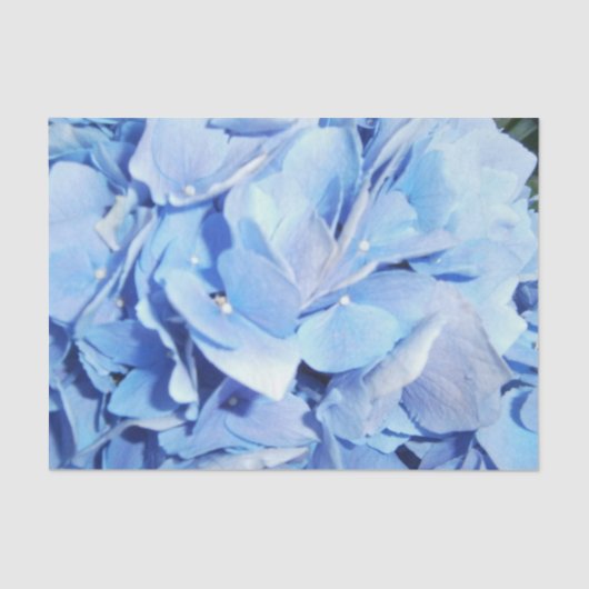 Papier Mousseline Hydrangée bleu clair (Recto)