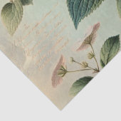 Papier Mousseline Hydrangia (Détail)