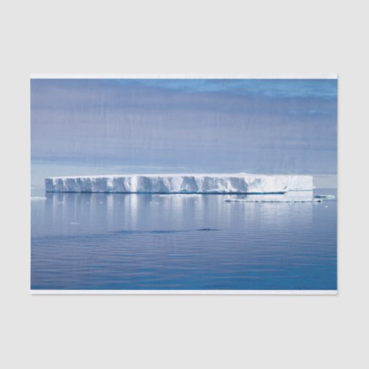 Papier Mousseline iceberg flottant (Recto)