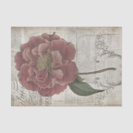 Papier Mousseline III floral français (Recto)