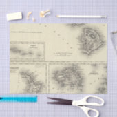 Papier Mousseline Îles hawaïennes de groupe ou de sandwich (Artisanat)