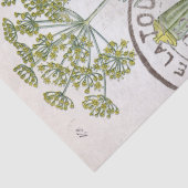 Papier Mousseline Illustration botanique Dill French Postmark Craft (Détail)