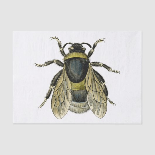 Papier Mousseline Illustration d'abeilles (Recto)