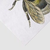 Papier Mousseline Illustration d'abeilles (Détail)