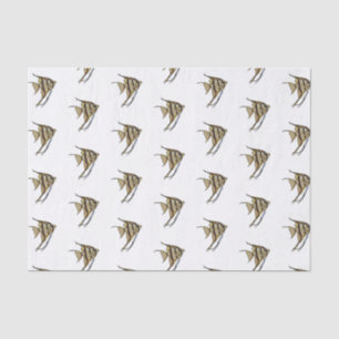 Papier Mousseline Illustration d'angelfish