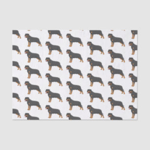 Papier Mousseline Illustration de chien Rottweiler