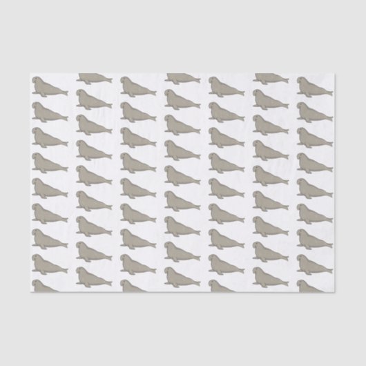 Papier Mousseline Illustration de dessin de phoque éléphant (Recto)