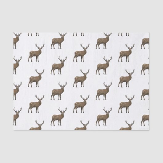 Papier Mousseline Illustration de dessin sur le cerf (Recto)